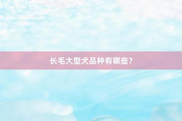 长毛大型犬品种有哪些？